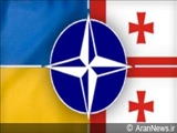 Gürcüstan NATO-dan imtina edəcək