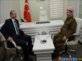 Məsud Barizani Türkiyə prezidenti ilə görüşüb
